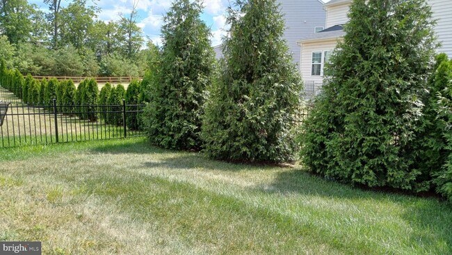 Building Photo - 25501 Emerson Oaks Dr