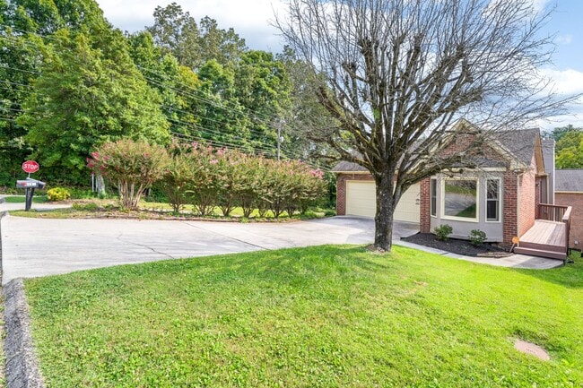 Building Photo - Fully Updated - Beautiful 3BR/2BA single-level home with a finished walk-out basement!