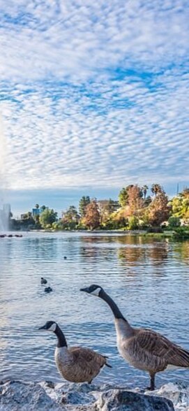 Building Photo - 1072 Laguna Ave