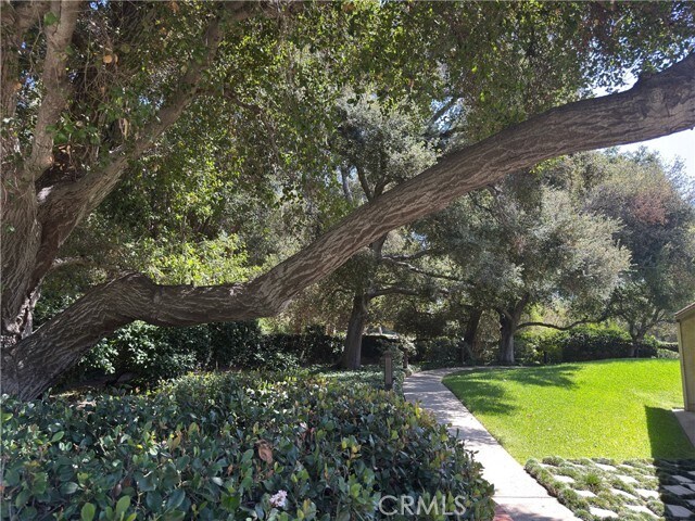 Building Photo - 1138 Las Riendas Way