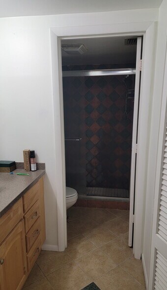 Master bathroom with huge walk-in closet - 5647 Summer Side Ln