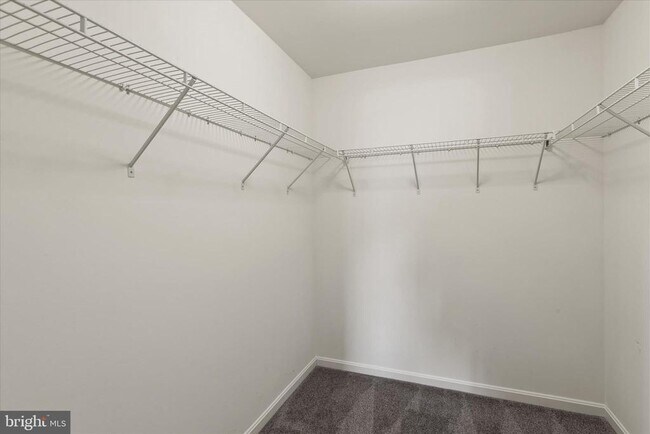 Building Photo - 5559 Trafalgar Cir