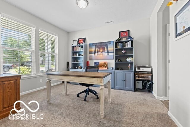 Building Photo - 1119 Cobra Dr