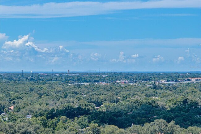 Building Photo - 3301 Bayshore Blvd