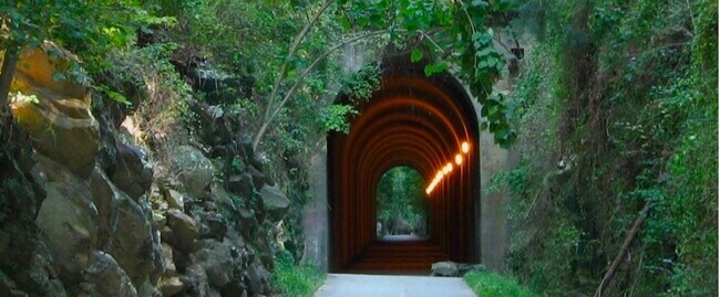 On mile marker 2 of silver comet trail! Walk from your backyard to access! - 4090 Norton Pl SE