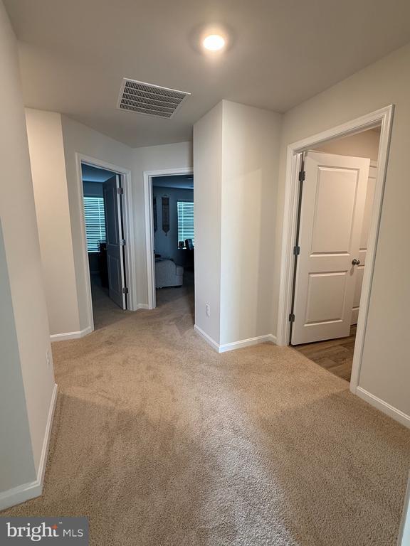 Building Photo - 115 Grasmere St