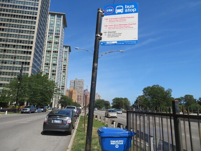 Building Photo - 3550 N Lake Shore Dr