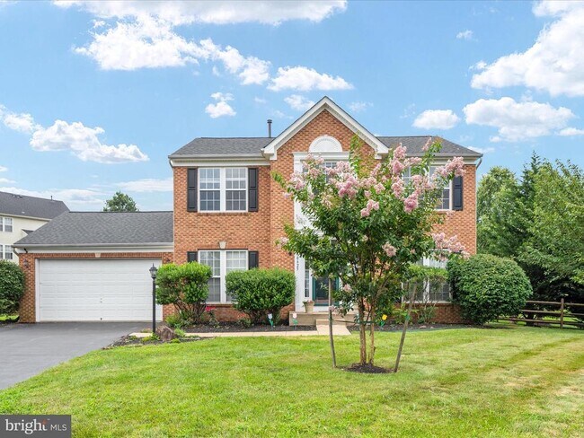 Primary Photo - 10625 Wulford Ct