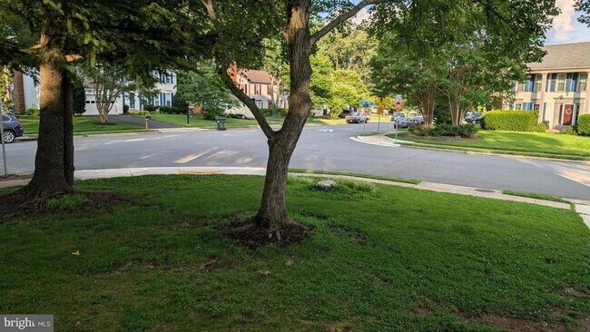 Building Photo - 4500 Stone Pine Ct