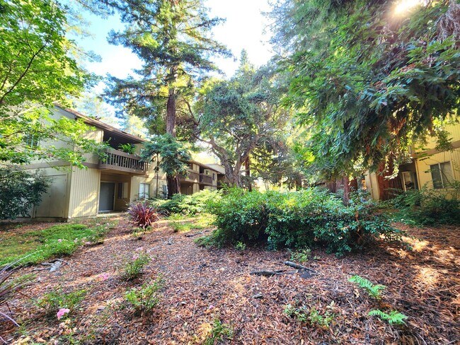 Building Photo - Charming 2BR/2BA Condo Steps from Downtown Mountain View