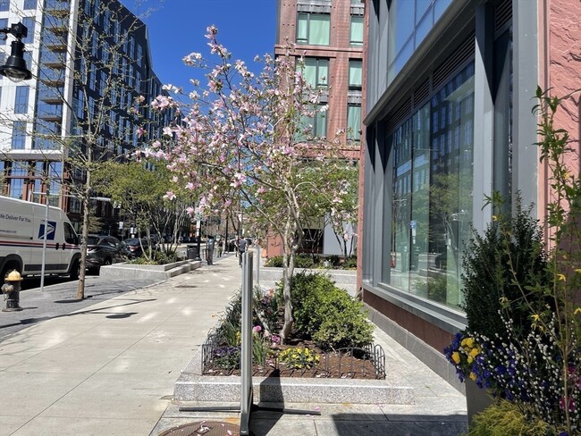 Building Photo - 370-380-380 Harrison Ave