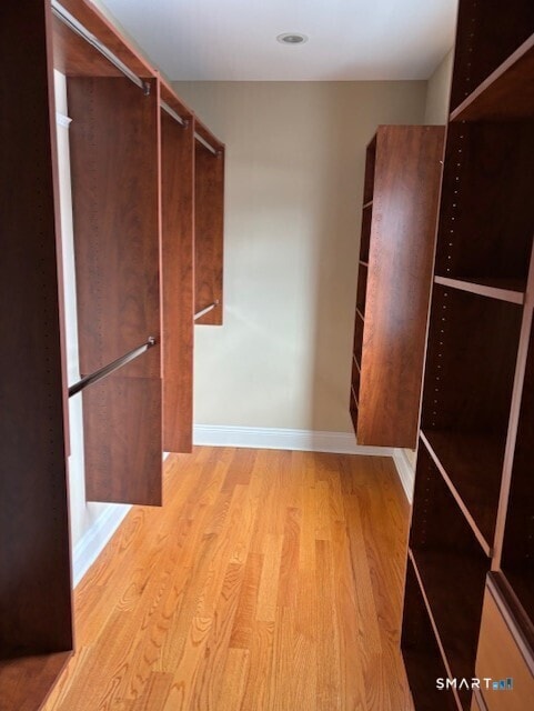 Building Photo - 88 Maple Tree Ave