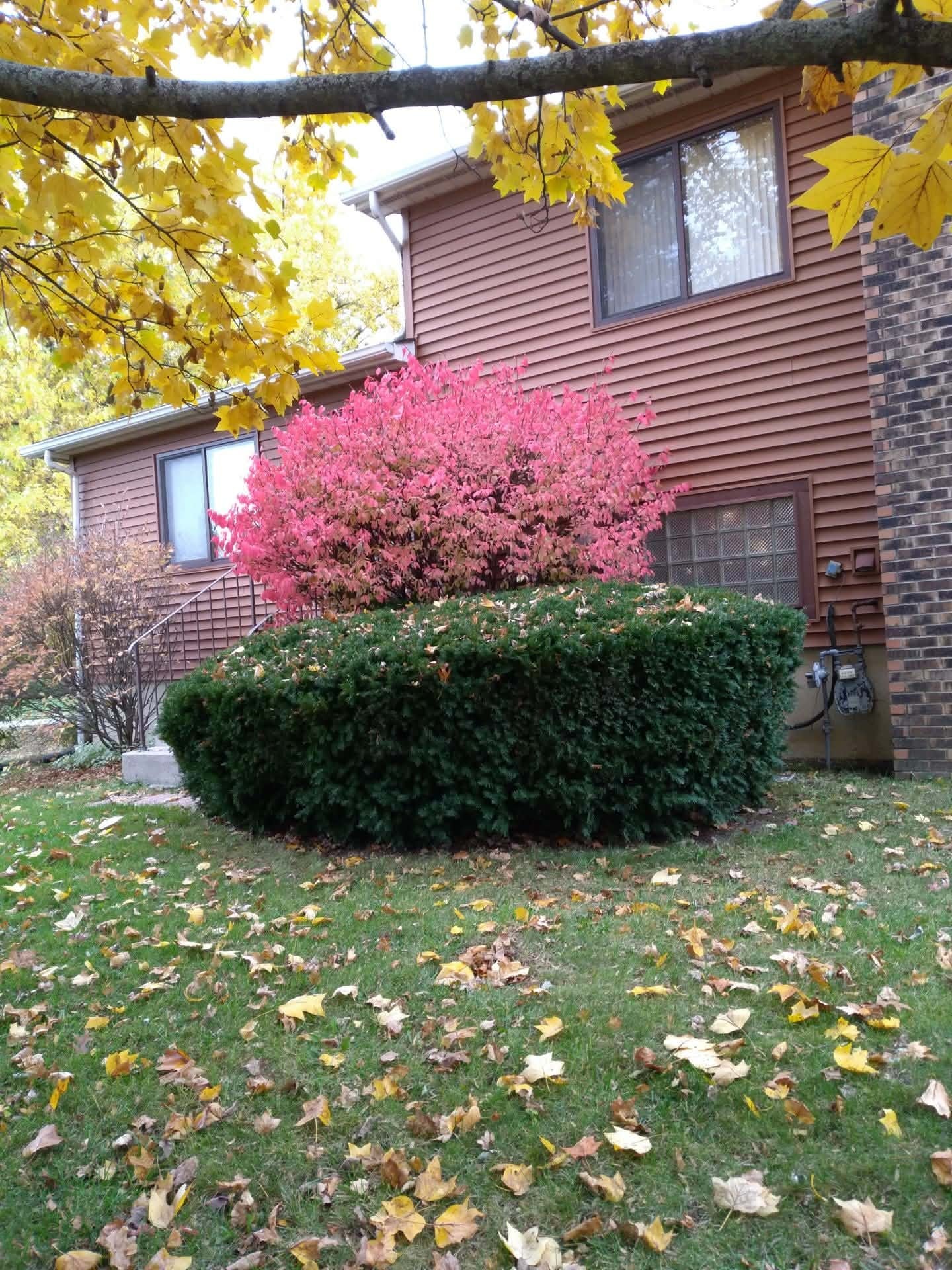 Back side view - 1545 Bristol Ln