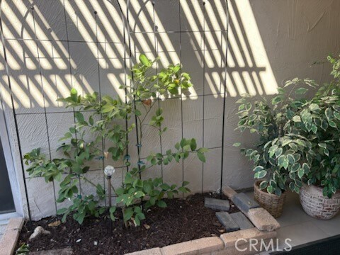 Building Photo - 28375 Paseo Grande Dr