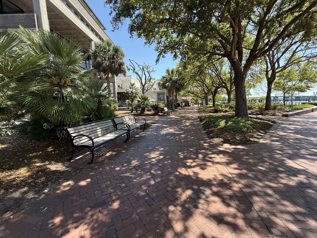 Building Photo - 1231 Ladys Island Dr