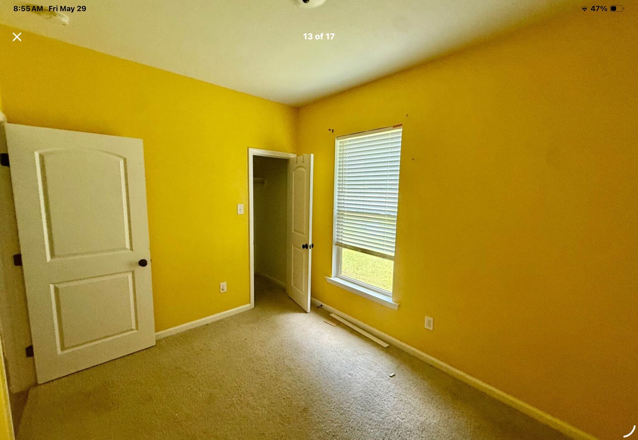Building Photo - 315 Springsteen Ln