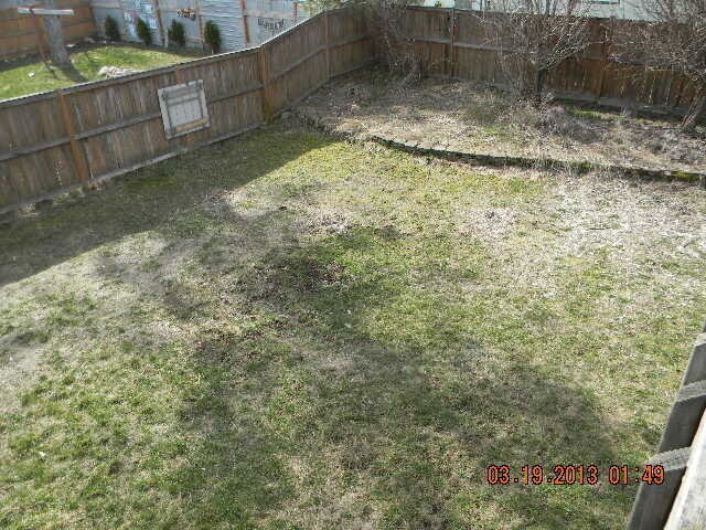 Building Photo - Home in Davis Park