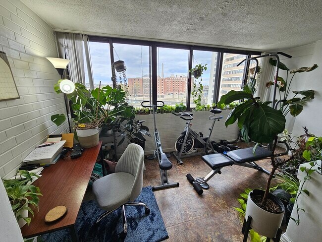 Building Photo - 8 Whittier Pl