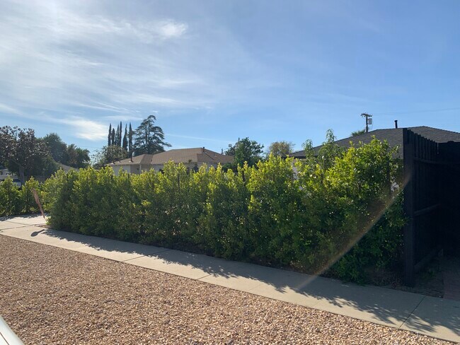 Sidewalk - 7811 Paso Robles Ave