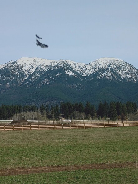 Building Photo - 1097 Tree Farm Rd