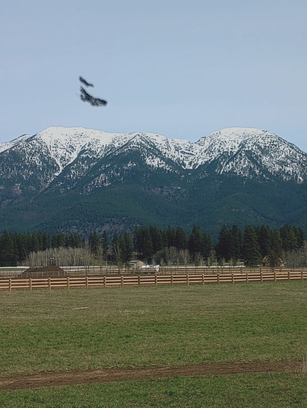 Building Photo - 1097 Tree Farm Rd