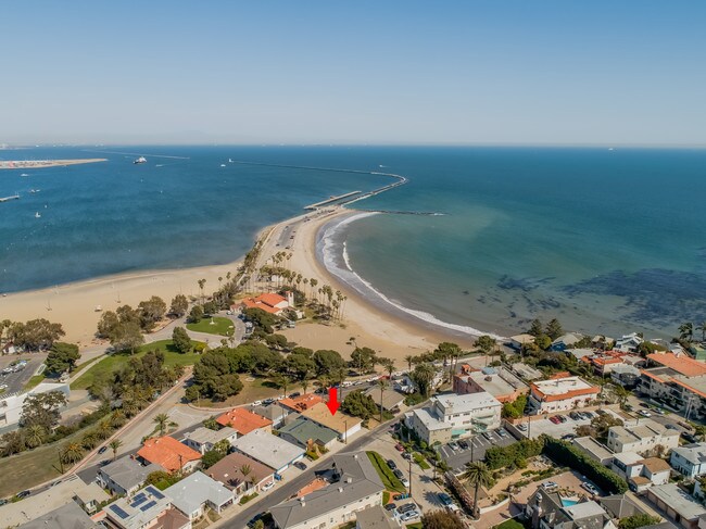 Aerial View - 3742 Bluff Pl