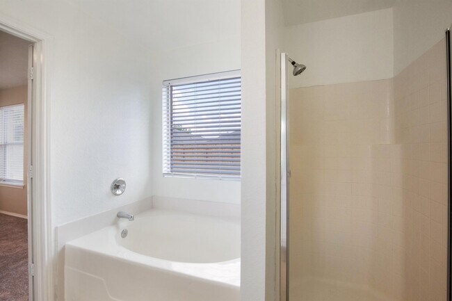 Building Photo - 1606 Prickly Pear St