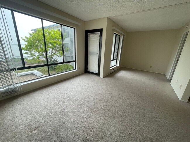 Building Photo - View of the Bay, Studio Condo Available No...