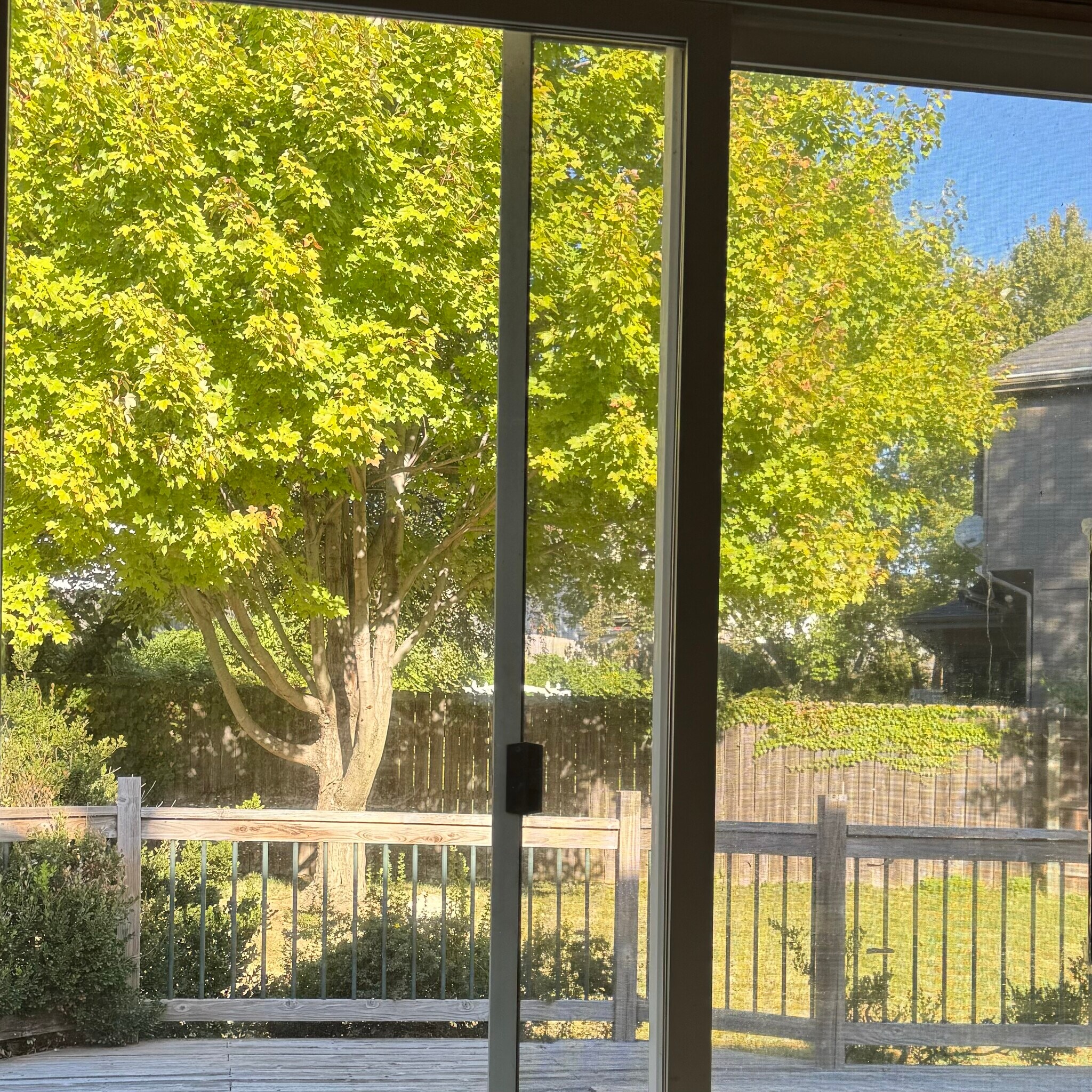 Outside deck with decorative tree - 2928 Blackhawk Dr