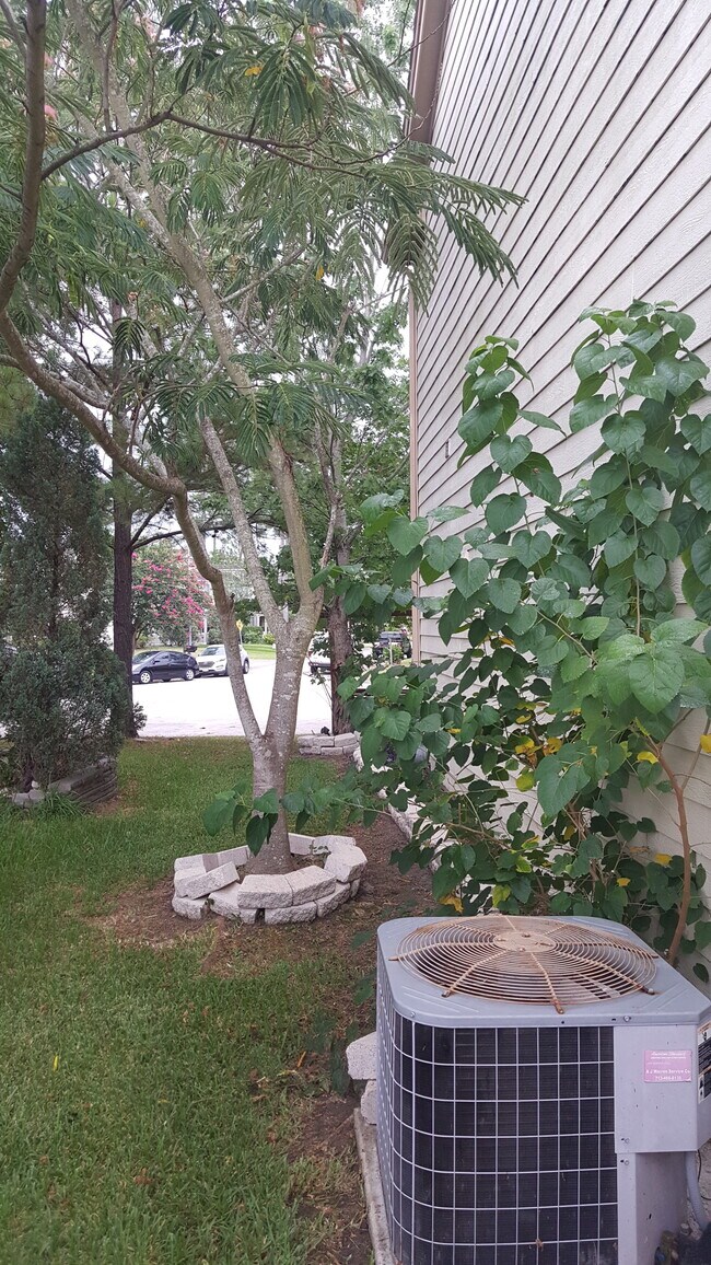 Exterior: Patio/Deck ADDITIONAL FEATURES * Are Pets Allowed Case By Case Basis * Exterior Fully Fen - 23631 Twisting Falls Drive