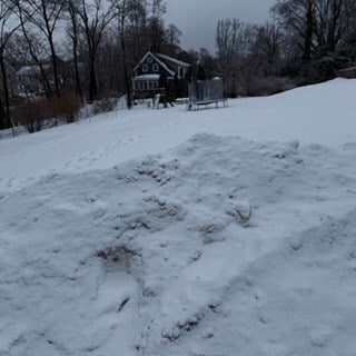 Building Photo - 22 Hall St