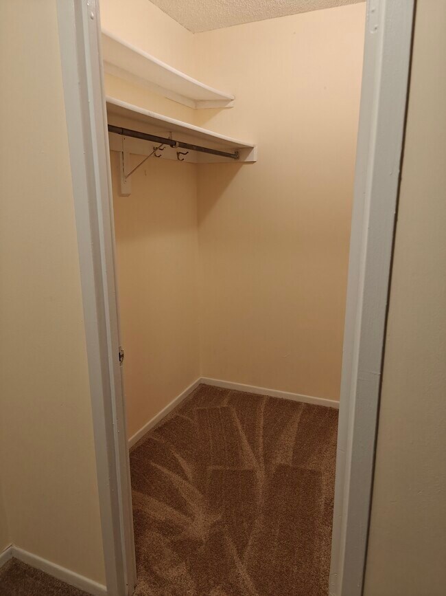 Building Photo - 3705 S George Mason Dr