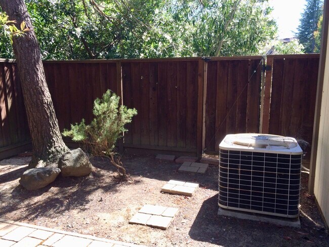 Patio - 2405 Deer Tree Ct