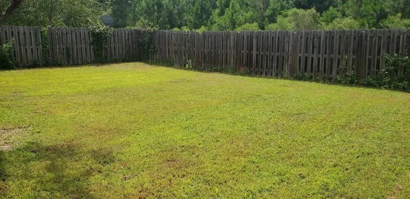 Building Photo - 2427 River Birch Dr