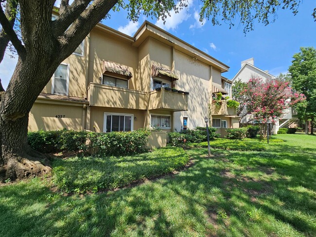 Primary Photo - Ready for immediate move in!