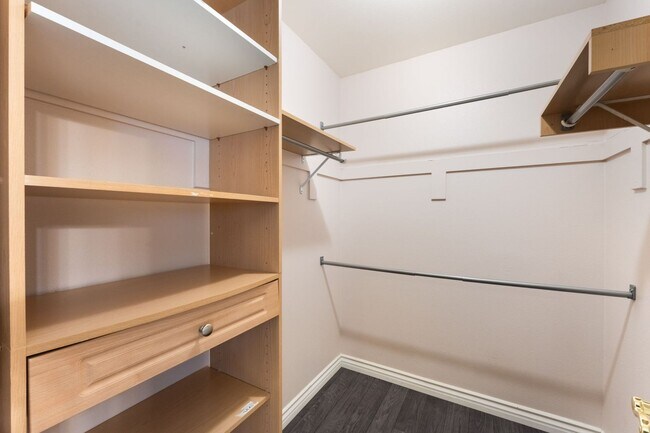 Building Photo - Elegant Single-Story Home in Desert Shores!