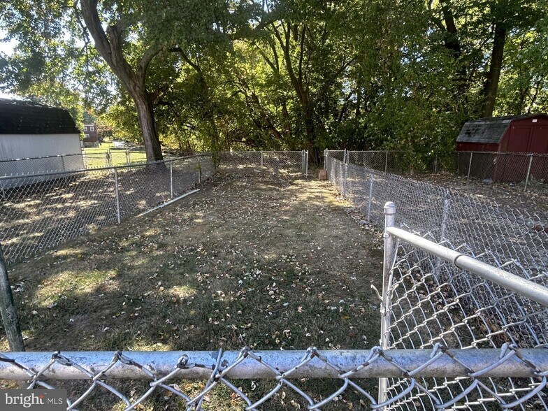 Back yard - 249 Park Dr