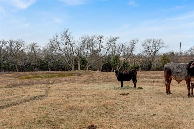 Building Photo - 2381 TX-56