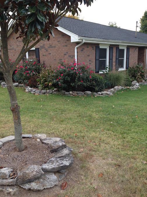 Building Photo - 8135 Moores Ln