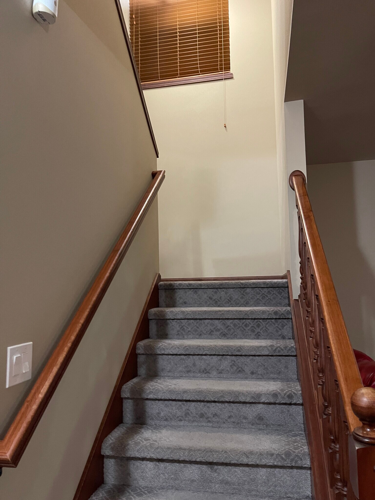 Building Photo - 113 Alton Dr