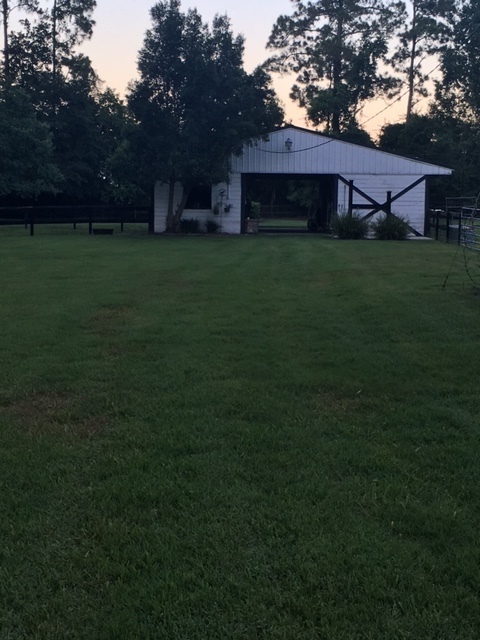 Building Photo - Horse property in St. Johns County