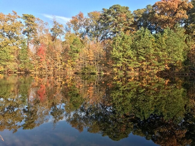 Building Photo - 110 Bugle Ct