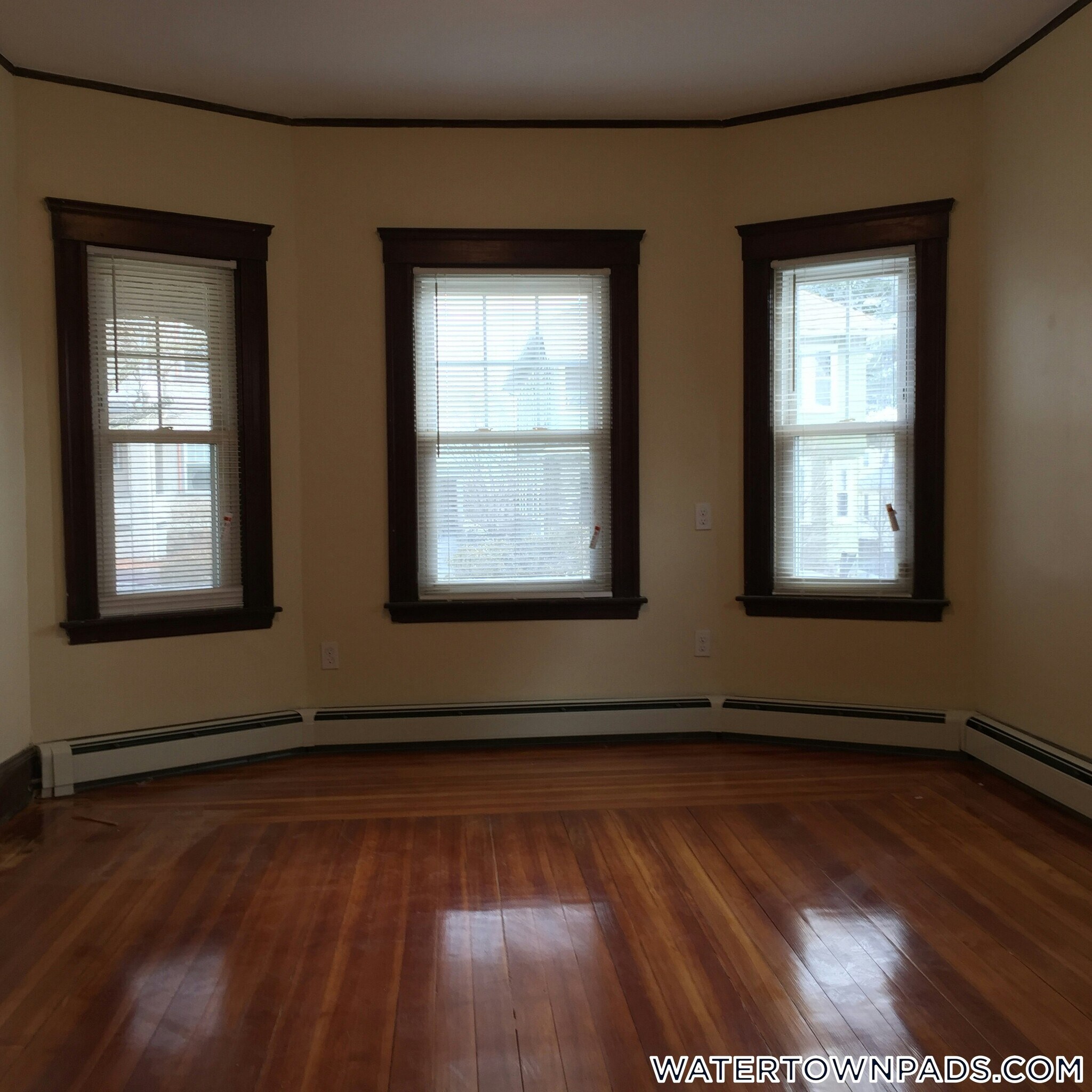 Building Photo - 126 Winsor Ave
