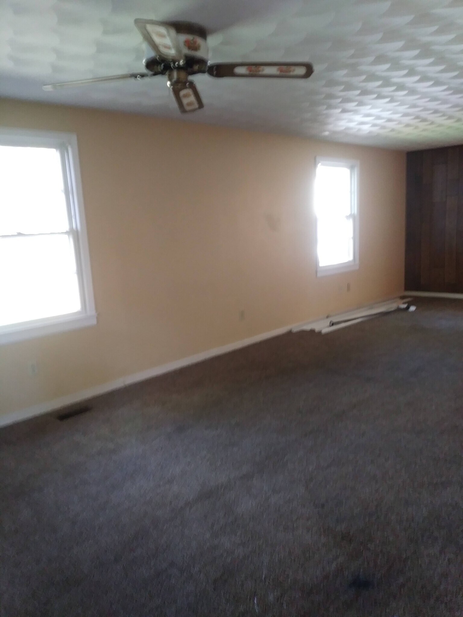 Family room - 2609 Pioneer Rd