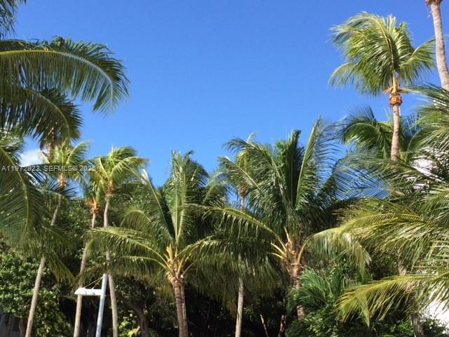 Building Photo - 680 NE 64th St