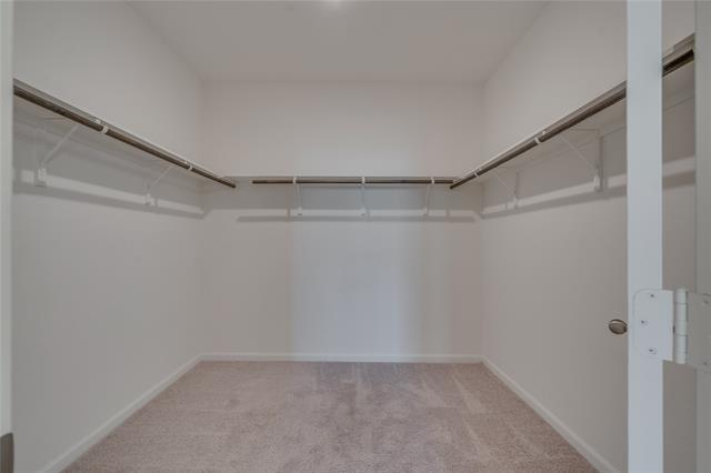 Building Photo - 10317 Burnfoot Ln