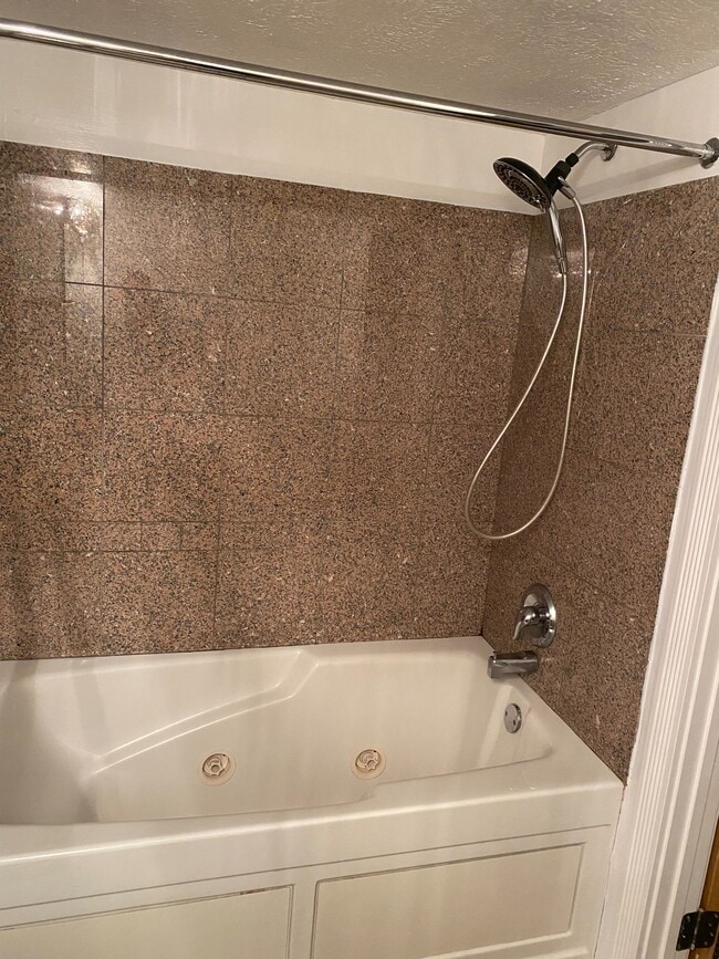 Primary Bathroom with Jacuzzi Tub and Massage Shower Head - 2222 Detroit Ave