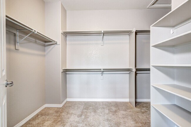 Building Photo - Convenient Castle Rock home on Culd-a-sac located in The Haven Neighborhood by Metzler Ranch!