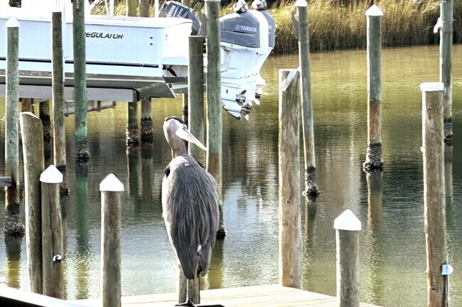 Building Photo - 775 Gulf Shore Dr