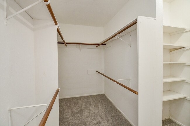 Building Photo - 19318 Quiet Brook Dr